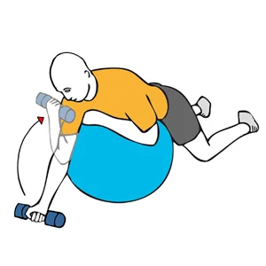 Curl de biceps tumbado sobre pelota de pilates