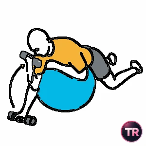 Biceps curl lying on a stability ball