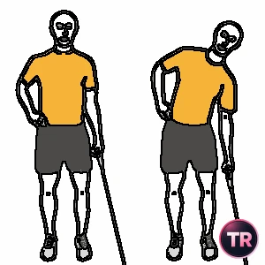 Lateral trunk flexion standing with a cable machine