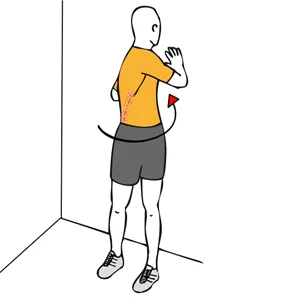 Estiramiento de abdominales oblicuos y espalda