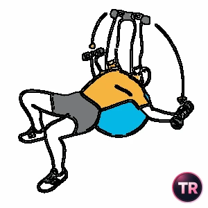 Reverse fly or fly with dumbbells lying on a stability ball