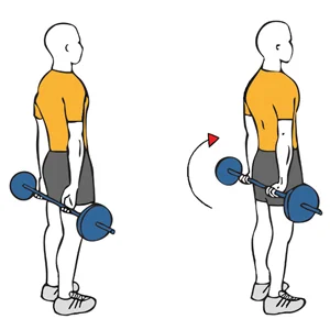 Flexión de antebrazos con la barra en la espalda