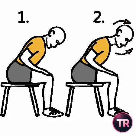 Extensión cervical sentado