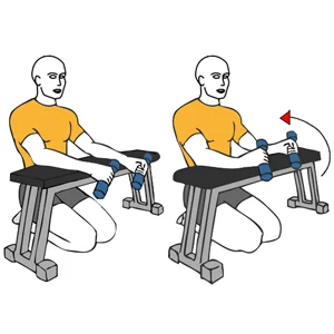 Flexión de muñecas agarre tipo martillo con barra apoyo en banco plano