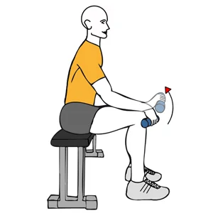 Extensión de antebrazo con mancuerna