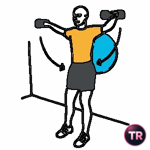 Seitheben mit Kurzhanteln gestützt auf einem Gymnastikball