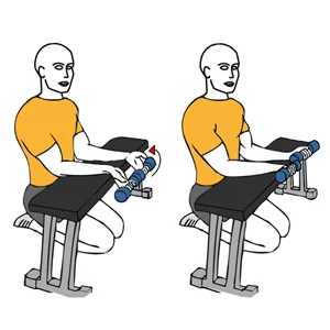 Flexión de muñecas con mancuernas apoyo en banco plano