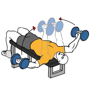 Aperturas de pectoral con mancuernas en banco declinado