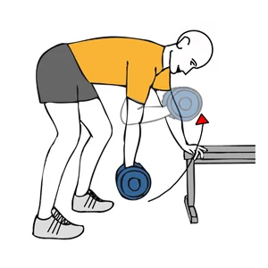 Curl de biceps con mancuerna inclinado y apoyado