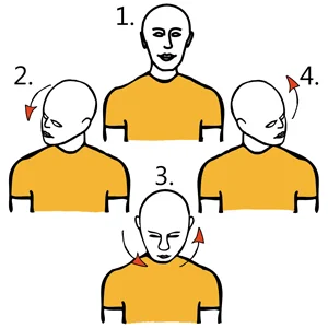 Circunducción de cabeza 180 grados