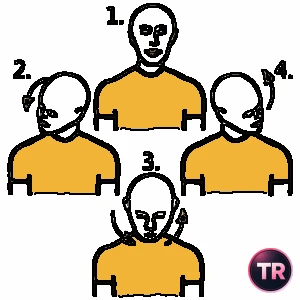 180° head circumduction