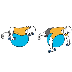 Remo con mancuernas sobre pelota de pilates