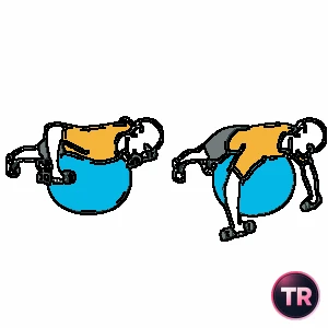 Remo con mancuernas sobre pelota de Pilates