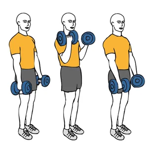 Curl de biceps con giro supinación y pronación o Zottman