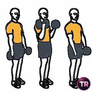 Curl de bíceps con giro supinación y pronación o zottman