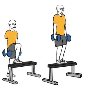 Subida a un banco con mancuernas