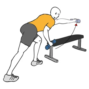 Elevación frontal con mancuerna apoyado en banco plano