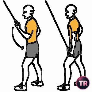 Extensión de tríceps agarre supinación a una mano polea