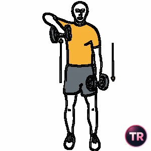 Upright row alternating with dumbbells