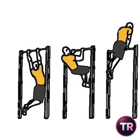 Dominadas y extensiones