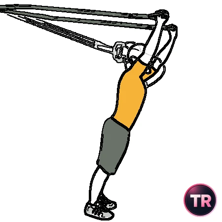 Extensión de tríceps con TRX