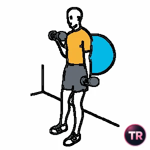 Biceps curl alternating with dumbbells supported on a stability ball