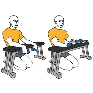 Extensión de muñecas con mancuernas, apoyo en banco plano