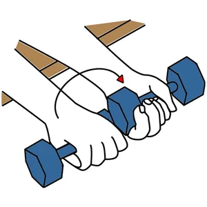 Supinación de mano con mancuerna