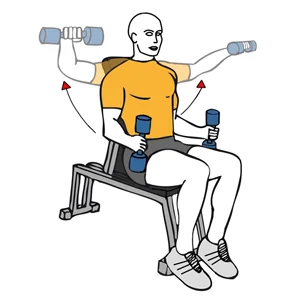 Elevación lateral de hombros con mancuernas sentado en banco inclinado