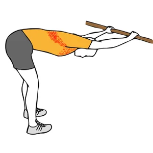 Estiramiento pectoral y dorsal con el tronco flexionado