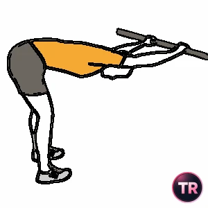 Estiramiento pectoral y dorsal con el tronco flexionado