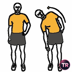 Flexión lateral de tronco con mancuerna