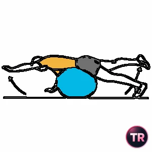 Extensión de pierna y brazo sobre pelota de Pilates