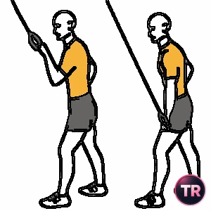 Extensión de tríceps a una mano con polea