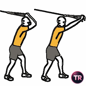 Extensión de tríceps con polea de pie
