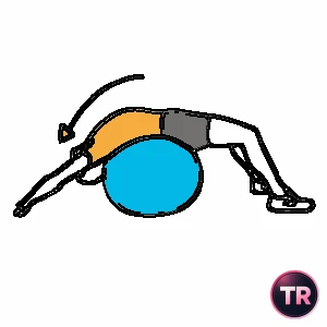 Stretch of abs lying on a stability ball