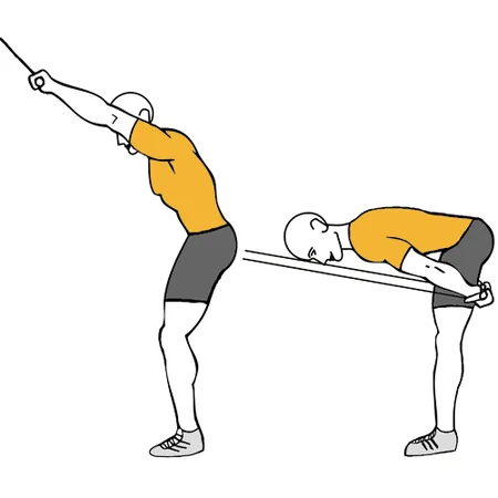 Remo y flexión de tronco con con poleas o gomas de pie