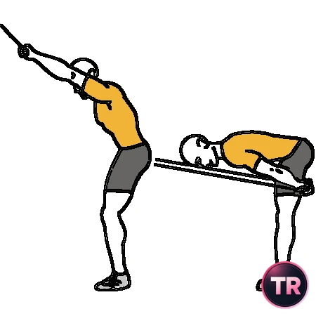 Remo y flexión de tronco con con poleas o gomas de pie