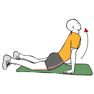 Estiramiento de abdominales el tronco en extensión
