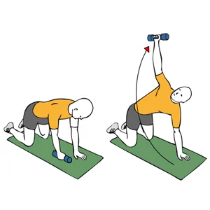 Elevación lateral de mancuerna en cuadrupedia