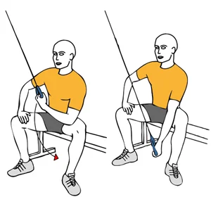 Triceps extension with a cable machine support in the thigh