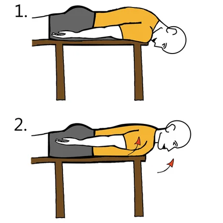 Extensión cervical y de hombros con brazos apoyados