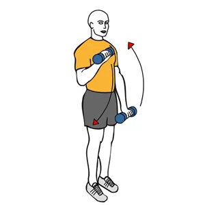 Curl de biceps de pie con mancuernas agarre en pronación