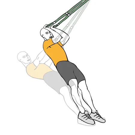 Curl de biceps con trx agarre prono
