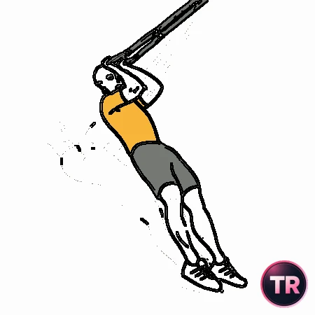 Curl de bíceps con TRX agarre prono