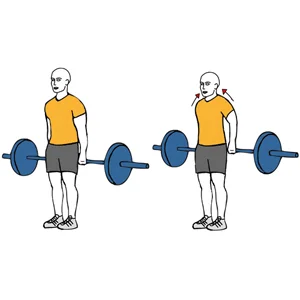 Encogimientos de hombros con barra por detrás