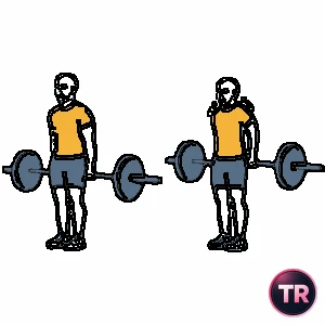 Shoulder shrugs with barbell by behind