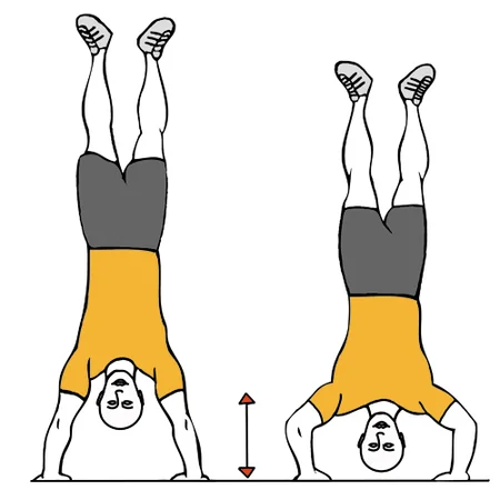 Fondos de hombros boca abajo