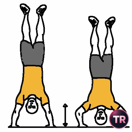 Dips of the shoulders prone