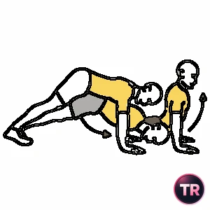 Flexión de brazos y extensión de tronco